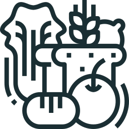 Always fresh ingredients